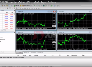 indicator forex ม อะไรบ าง