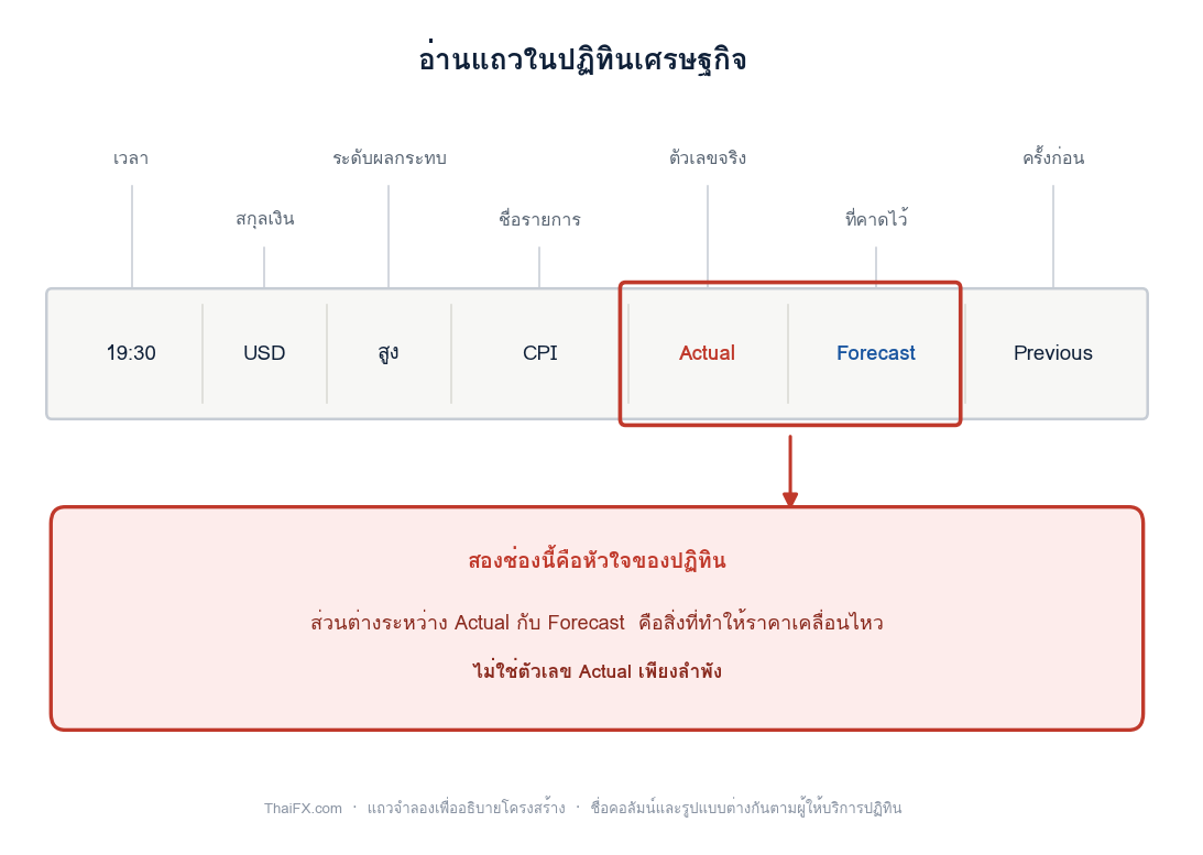 แผนภาพอธิบายคอลัมน์ต่าง ๆ ในแถวของปฏิทินเศรษฐกิจ โดยเน้นช่อง Actual และ Forecast